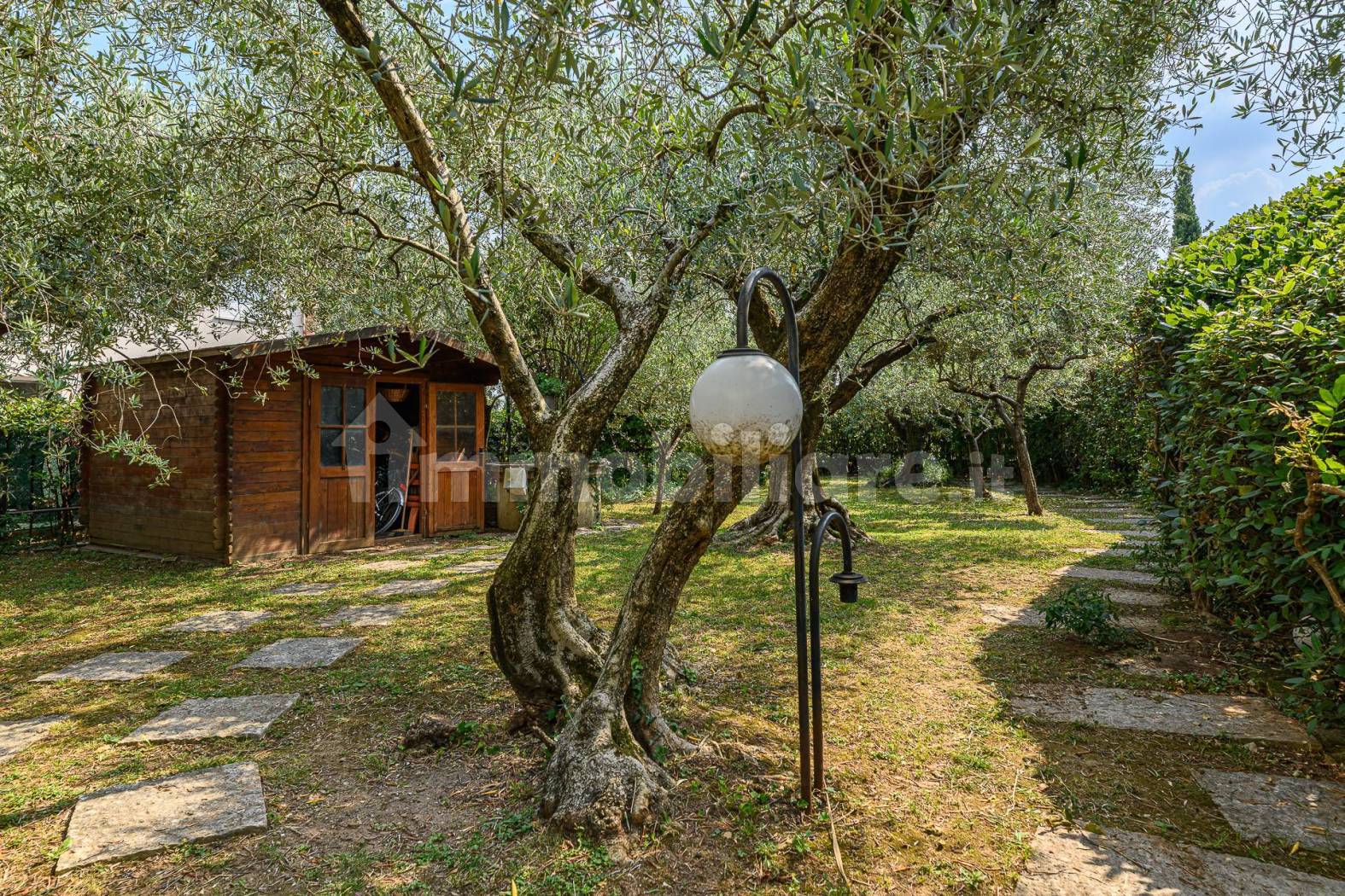 Casa terracielo da ristrutturare con ampio giardino - Pove del Grappa (foto 6)