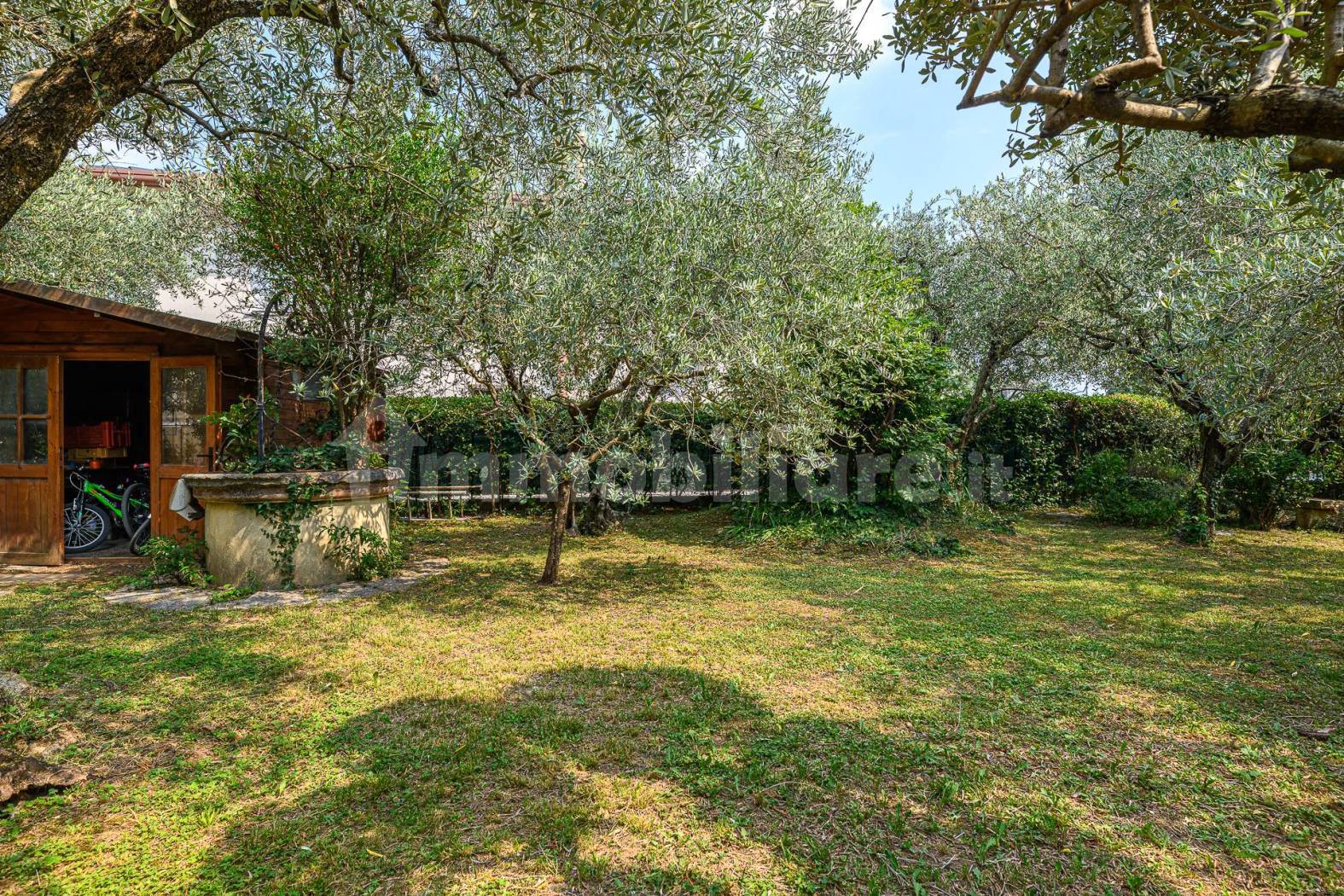Casa terracielo da ristrutturare con ampio giardino - Pove del Grappa (foto 4)