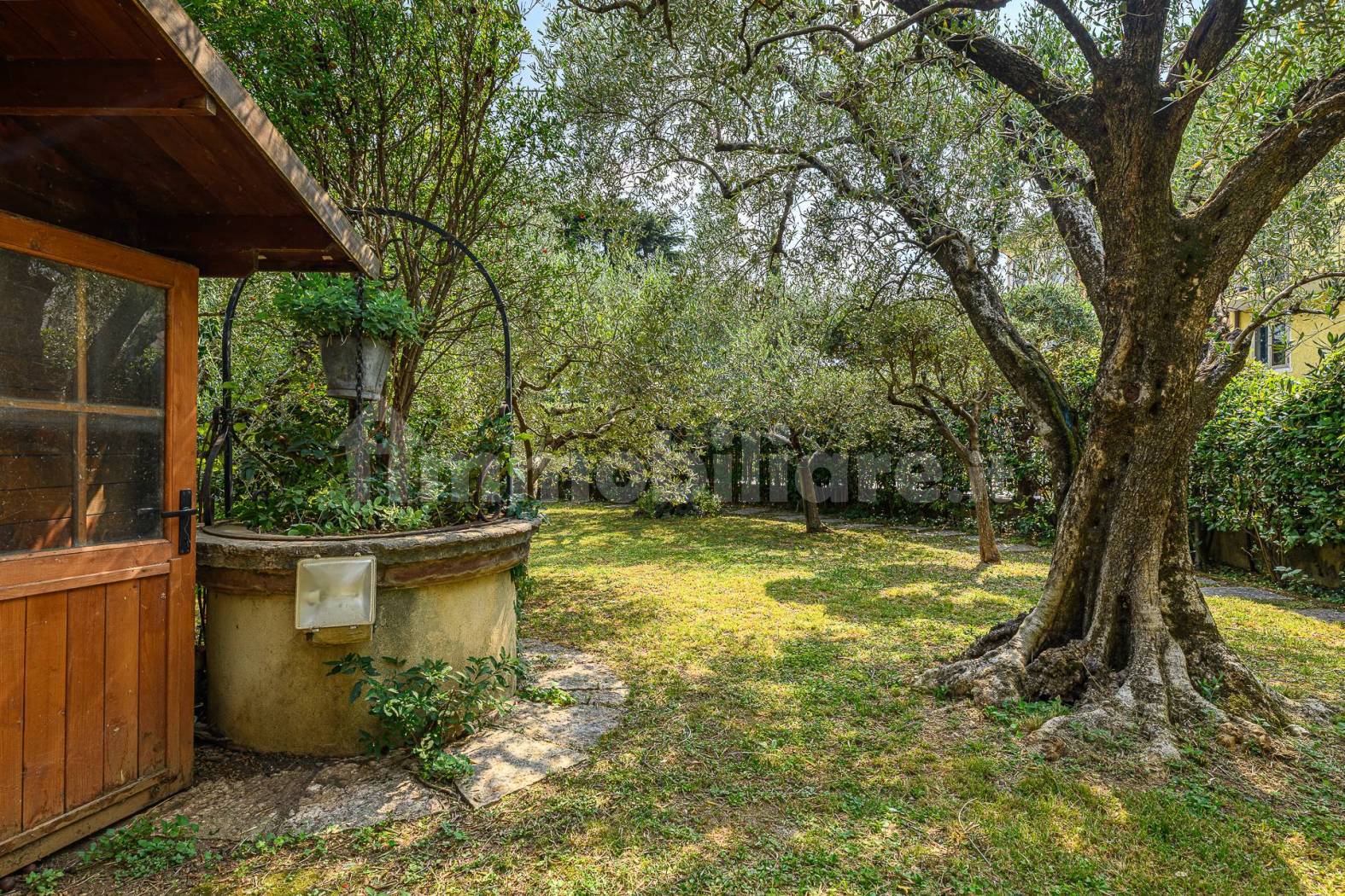 Casa terracielo da ristrutturare con ampio giardino - Pove del Grappa (foto 7)