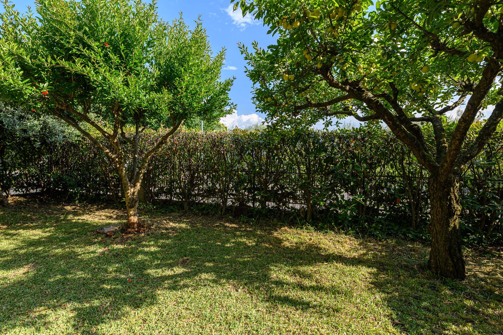Appartamento bicamere al piano terra con giardino - Bassano Del Grappa (foto 7)